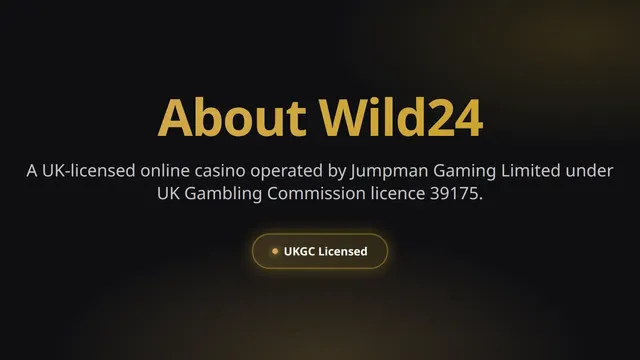 About Wild24 Casino